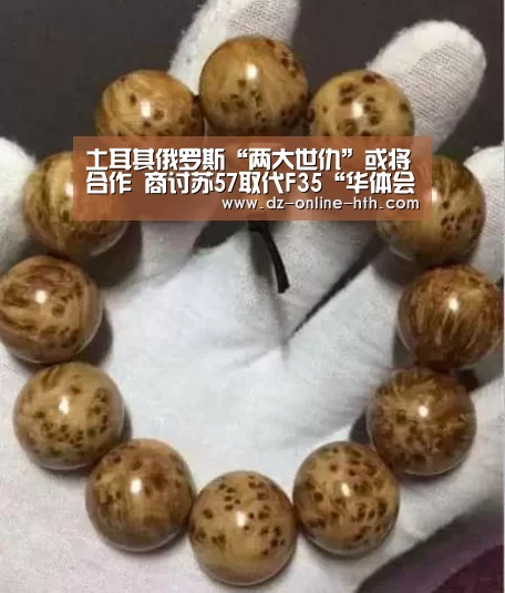 土耳其俄罗斯“两大世仇”或将合作 商讨苏57取代F35“华体会体育官网入口”