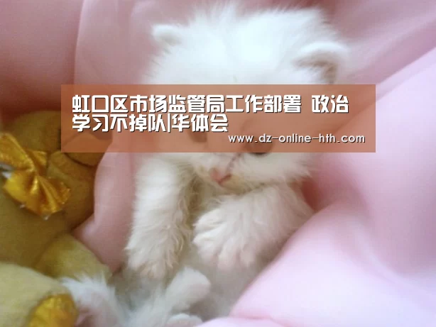 虹口区市场监管局工作部署 政治学习不掉队|华体会