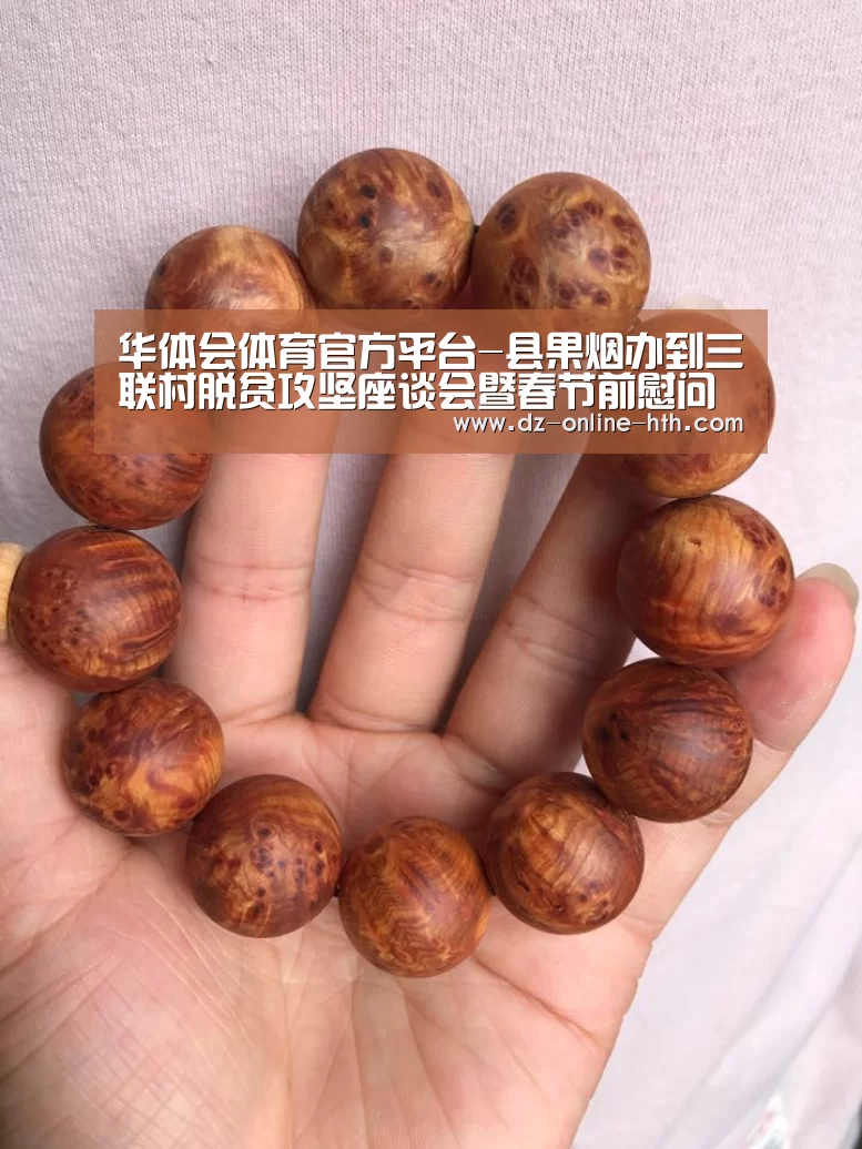 华体会app