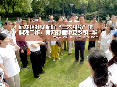 石龙镇扎实抓好“三大纠纷”的调处工作,有力打造平安乡镇-华体会体育官方平台(图3) 华体会