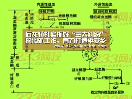 石龙镇扎实抓好“三大纠纷”的调处工作,有力打造平安乡镇-华体会体育官方平台