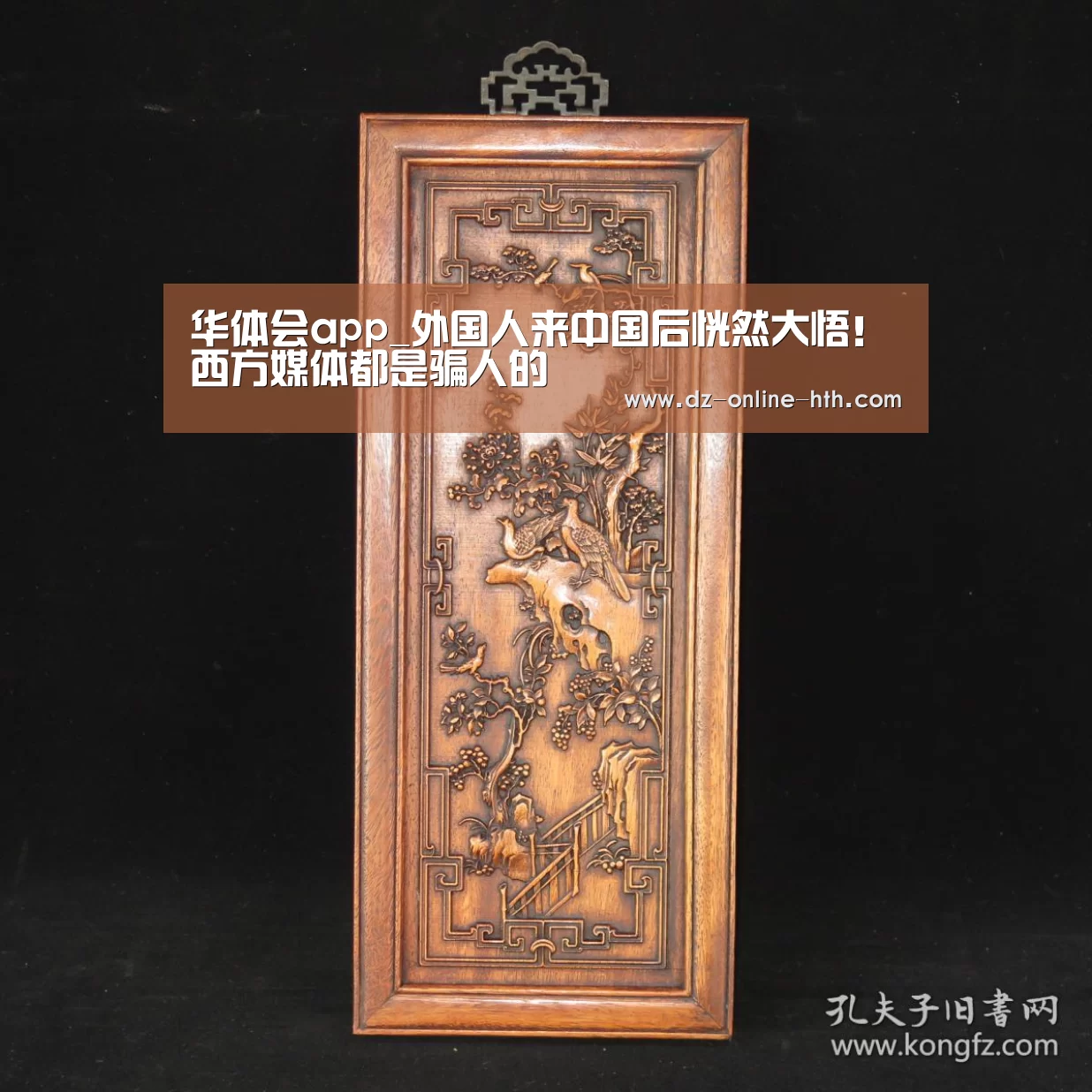 华体会体育官方平台